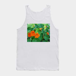 Yellow and orange nasturtiums in my garden Tank Top